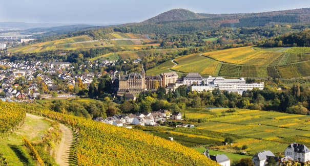 Ahrweiler – Kloster Calvarienberg und Weinberge