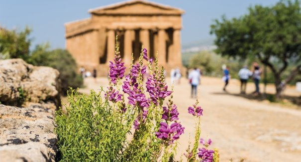 Frühling im Tal der Tempel in Agrigento
